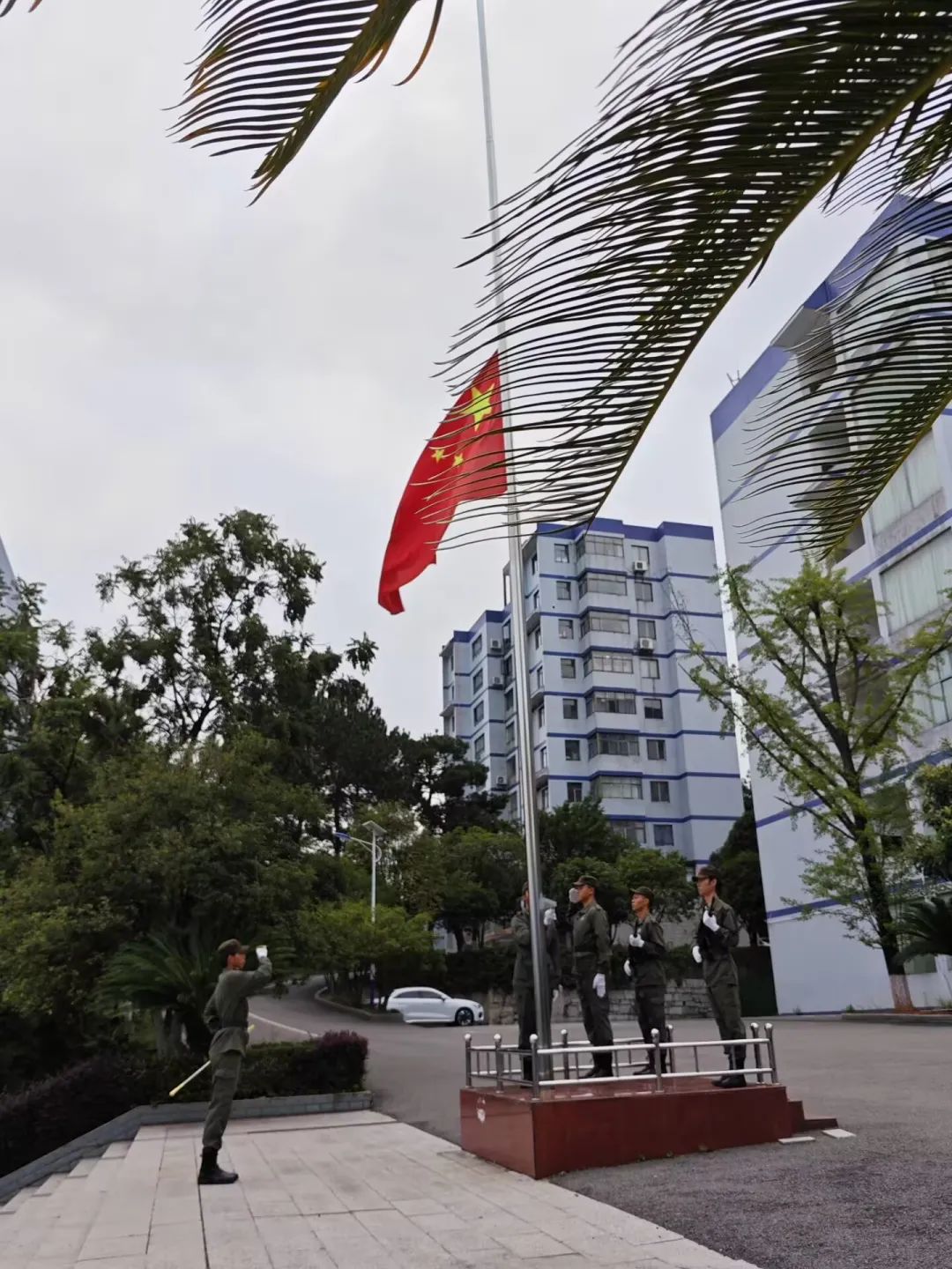 640 - 2024-11-19T191635.803.jpg